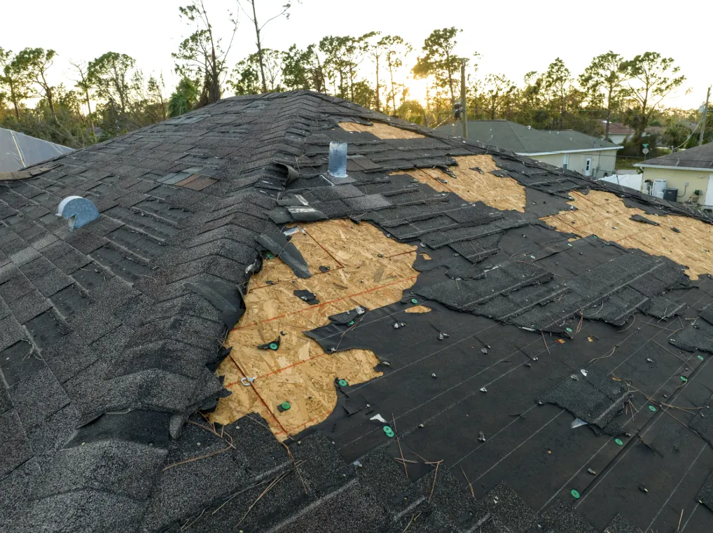Wind-damaged roof with missing shingles and exposed sheathing